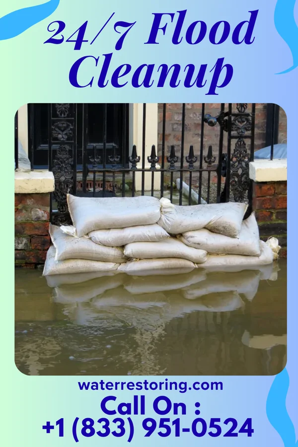 24/7 Flood Cleanup in Hesperia, MI