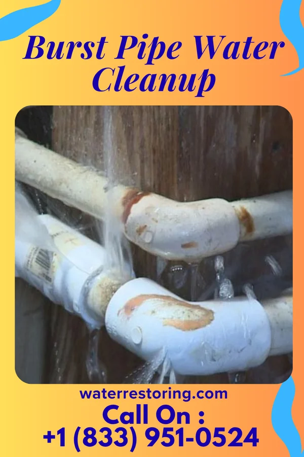 Burst Pipe Water Cleanup in Hesperia, MI