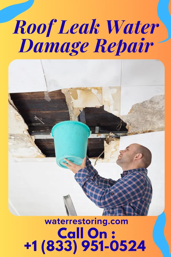 Roof Leak Water Damage Repair in Hesperia, MI