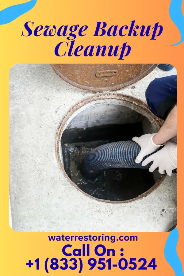 Sewage Backup Cleanup in Hesperia, MI